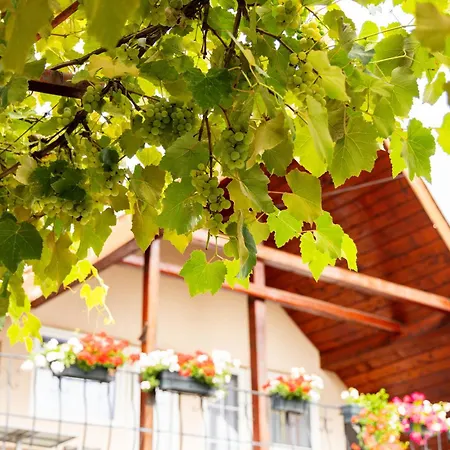 Casa De Vacanta Diana بيت للعطل *