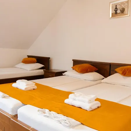 بيت للعطل Casa De Vacanta Diana Turnu Rosu