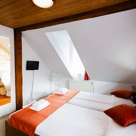 Casa De Vacanta Diana بيت للعطل Turnu Rosu