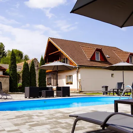بيت للعطل Casa De Vacanta Diana Turnu Rosu
