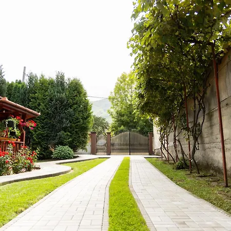 Casa De Vacanta Diana بيت للعطل Turnu Rosu